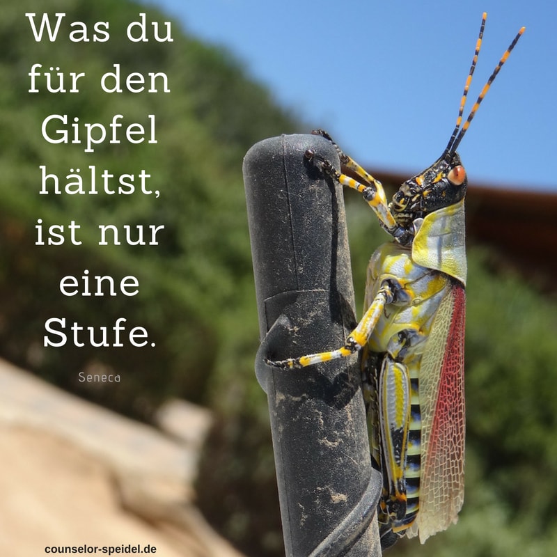 was_du_fuer_den_gipfel_haeltst