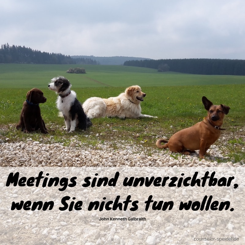 meetings_sind_unverzichtbar