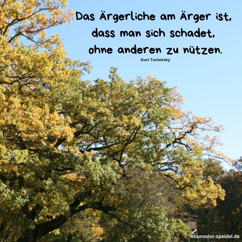 das_aergerliche_am_aerger_S