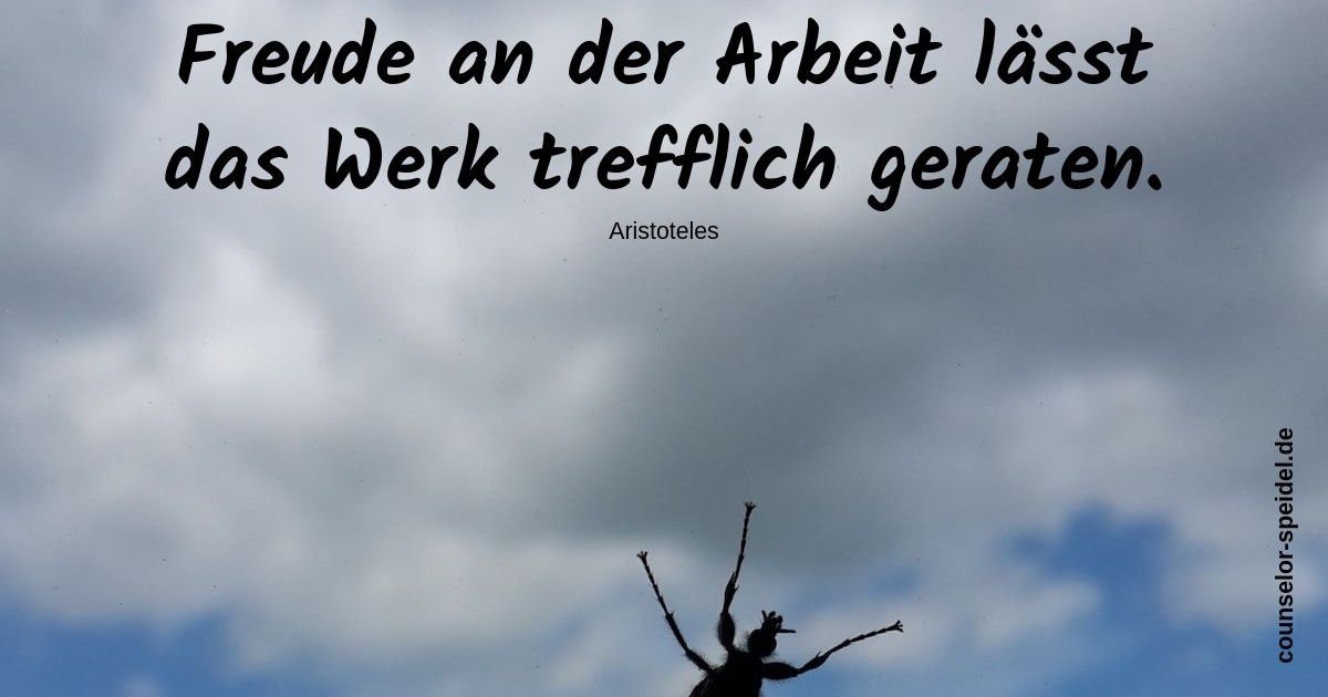Zitat Aristoteles II