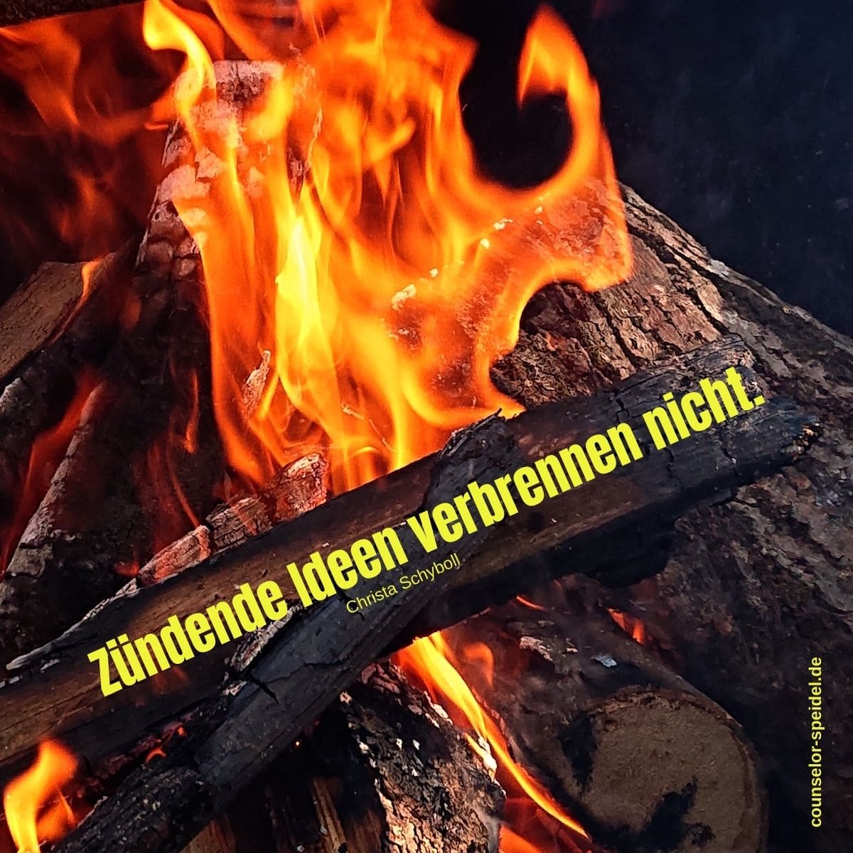 zuendende_ideen_verbrennen_nicht