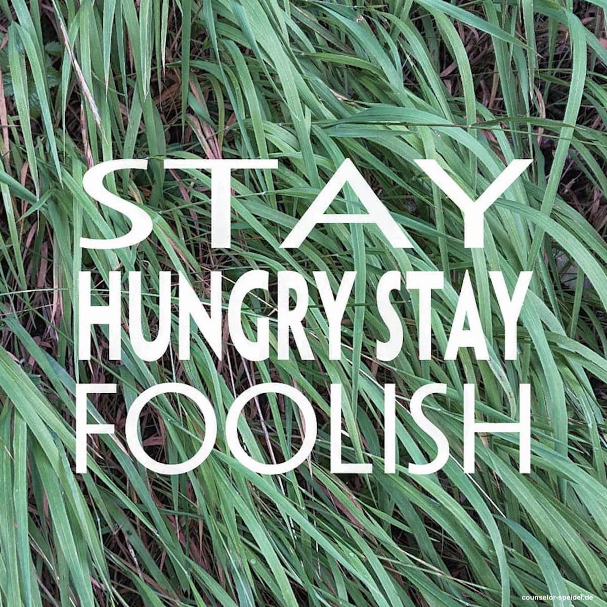 stay_hungry_stay_foolish